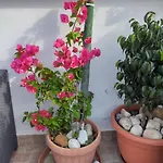 La Maison Del Borgo Antico Bed & Breakfast 3*