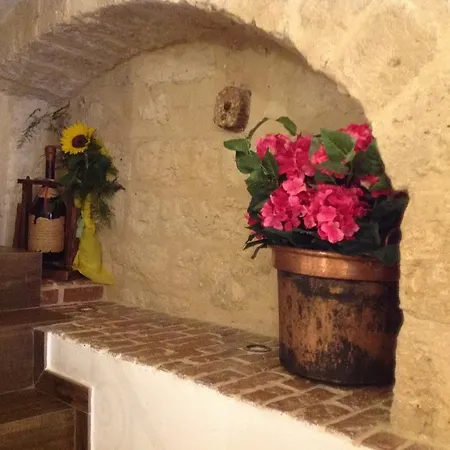 德尔博尔戈安蒂住宿加早餐旅馆 3*