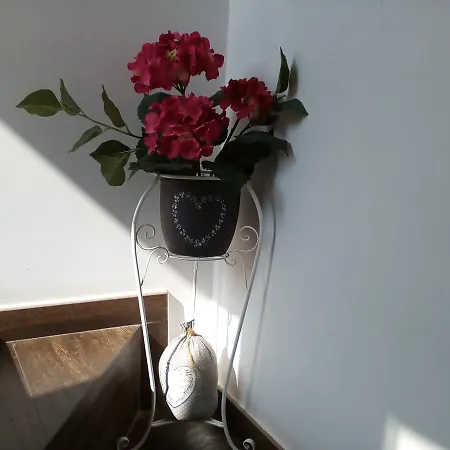 德尔博尔戈安蒂住宿加早餐旅馆 住宿加早餐酒店