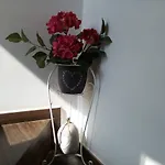 La Maison Del Borgo Antico Bed & Breakfast